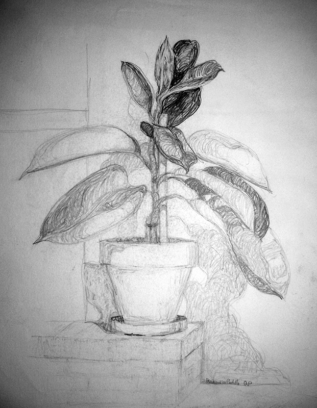 Portfolio-Still-Life-Leaves-1