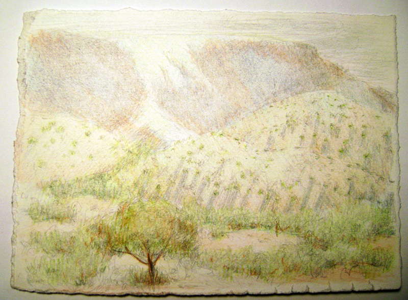 Portfolio-Still-Life-Sandia-Foothills