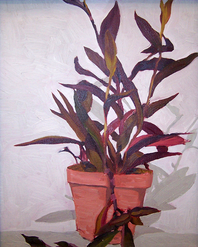 Portfolio-Still-Life-Untitled-Still-Life