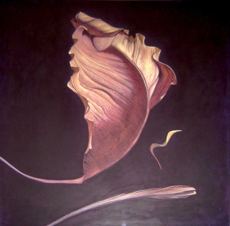 Leaf Composition